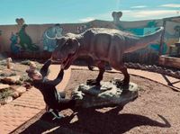 Krystal Warren profile picture