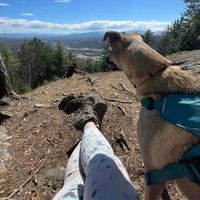 Lindsey Kay profile picture