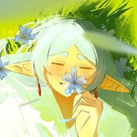 Des Dainty profile picture