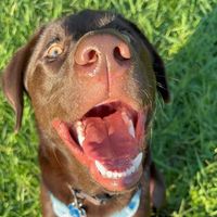 Jax and Nova + Aubrey profile picture