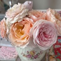 Connie Martin profile picture