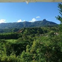 Margaret profile picture