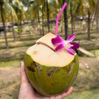 Jonesy Lu profile picture