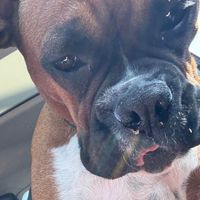 Fiona profile picture