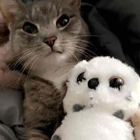 emm rose profile picture