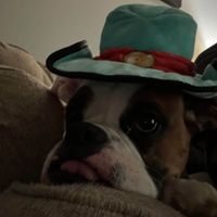 Skye’s Mom profile picture