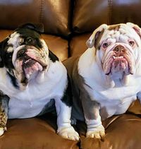 Tracy Inman profile picture