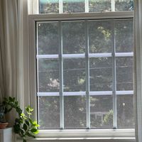 Amelia Caswell profile picture