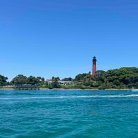 Ellie 🌺 profile picture