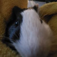 Ashley Door profile picture