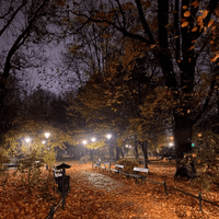 mydigitaldiary🧸 profile picture