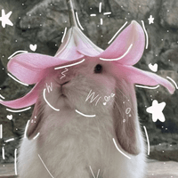 Valeria profile picture