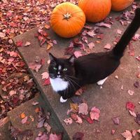 Elizabeth profile picture