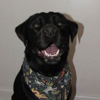 Kennedy Schofield profile picture