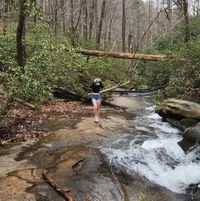 Allyson Dinges profile picture