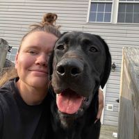 Sarah S profile picture