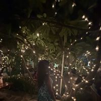 Lasya G. profile picture