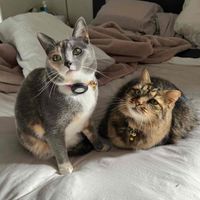 Reviews and Mews profile picture