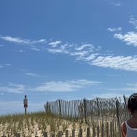 autumn profile picture