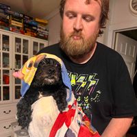 Stephen Grainger profile picture