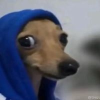 sabrinaaaa profile picture