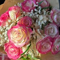 Vianna A profile picture