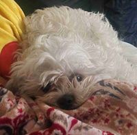 Hasana ‼️ profile picture