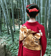 LilCatGhost profile picture