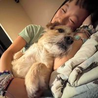 Sophie W profile picture