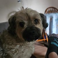 Tracy Clement profile picture