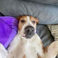 Leila profile picture