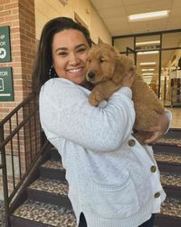 Emily Curry profile picture