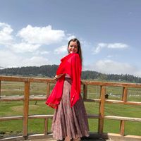 Aleah Wells profile picture