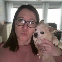 Stacey Bauer profile picture