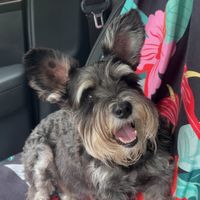 Kyra profile picture