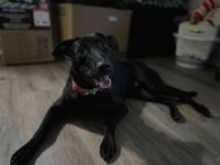 Izzy profile picture