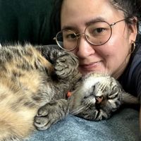 Kim N profile picture