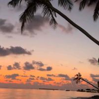 Eva Kovačić profile picture