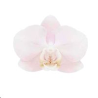 Mya Rachelle ♡ profile picture