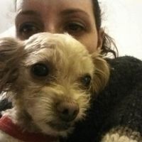 Shannon Deane profile picture