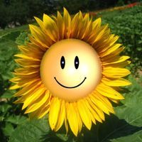 Cristina Almeida profile picture