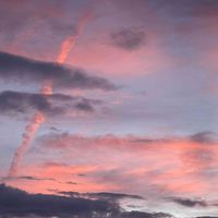 Ky ♡ profile picture