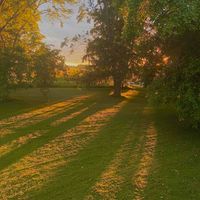 Dinah Favaro profile picture