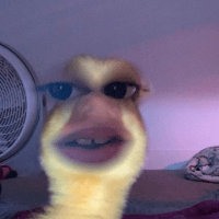 Leah brioso profile picture
