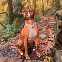Lindsey Jordan profile picture
