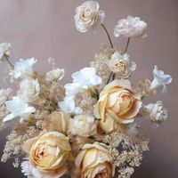 Destiny profile picture