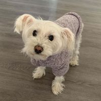 Frances profile picture