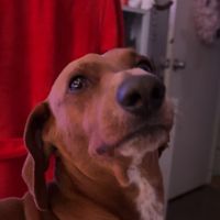 maddieg profile picture