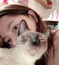 Gerlyy profile picture