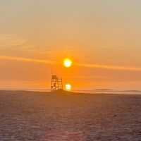 Sherri Collins profile picture